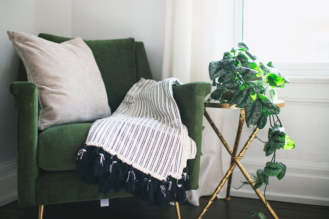 chair, home, room, plant, ivy, interior, table, blanket, pillow, nature, curtain, clean, drapes, silver satin ivy, still life